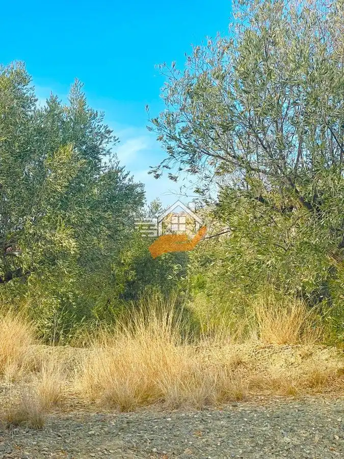 Terrenys i solars en venda a Vélez-Rubio, imagen 2