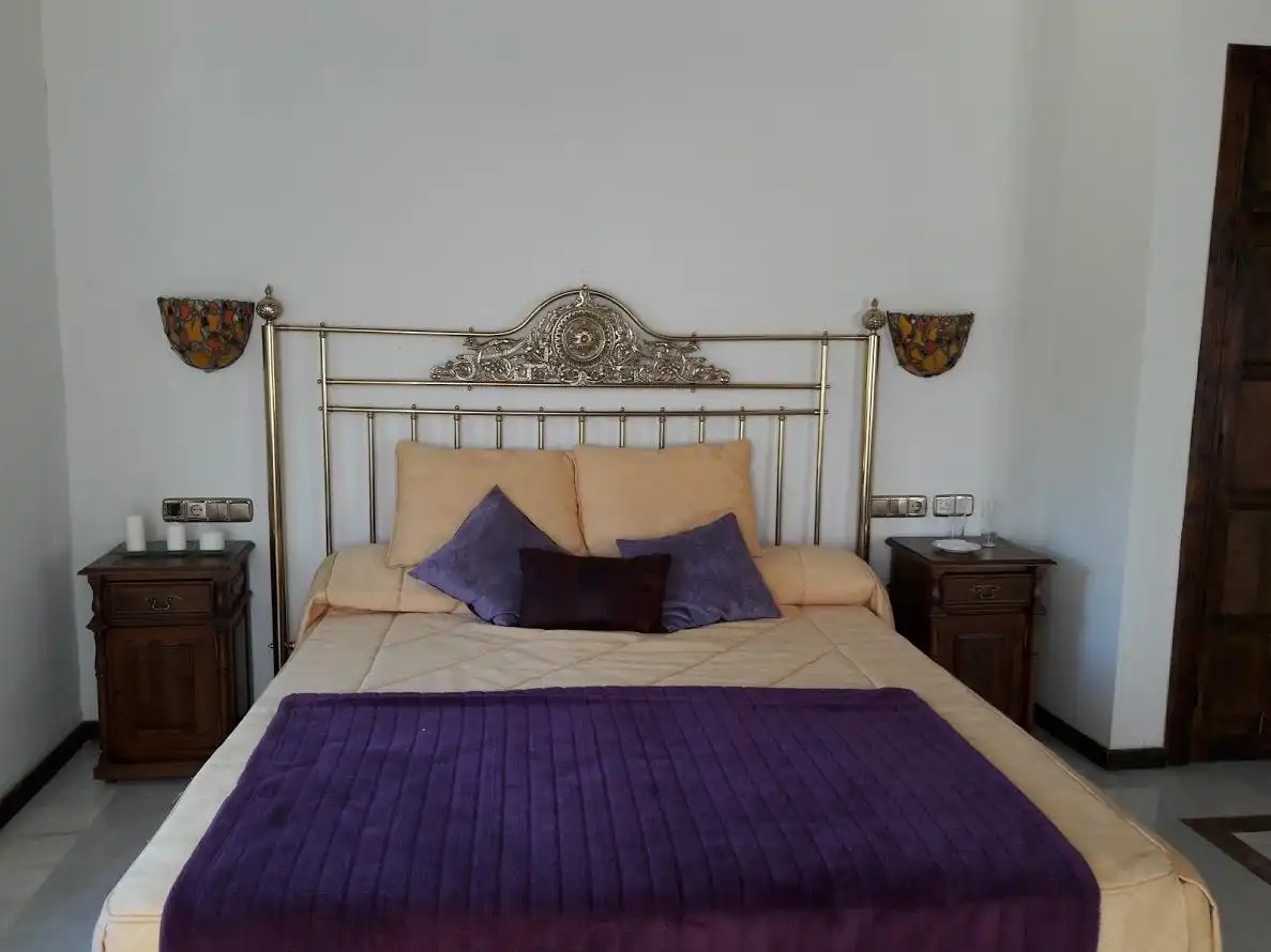 Inmuebles singulares con ascensor en venta en Diezma, imagen 81