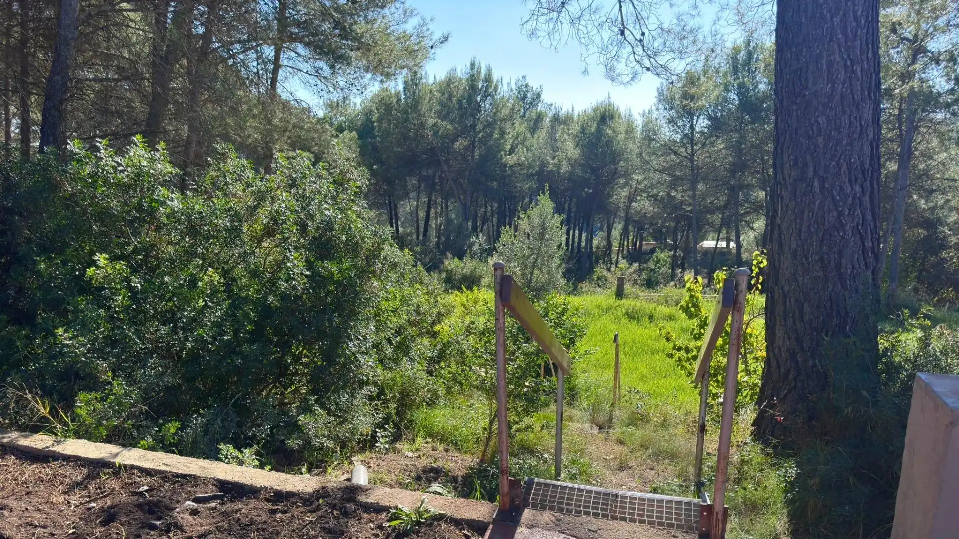 Casa o xalet en venda en Els Hostalets de Pierola amb Jardí privat, Terrassa i Balcó