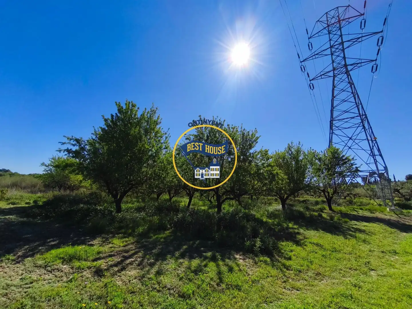 Terreno rustico in vendita a Albaida, imagen 10