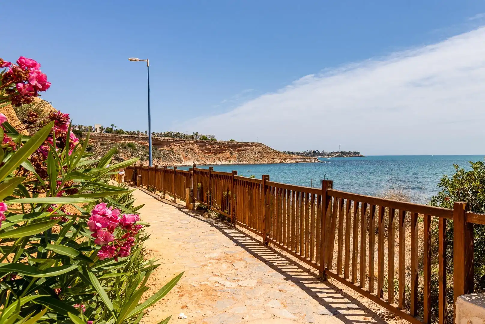 Detached house with pool for sale in Cabo de la Nao, Res Tabora, imagen 41
