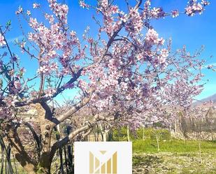 Jardí de Finca rústica en venda en Dalías amb Terrassa