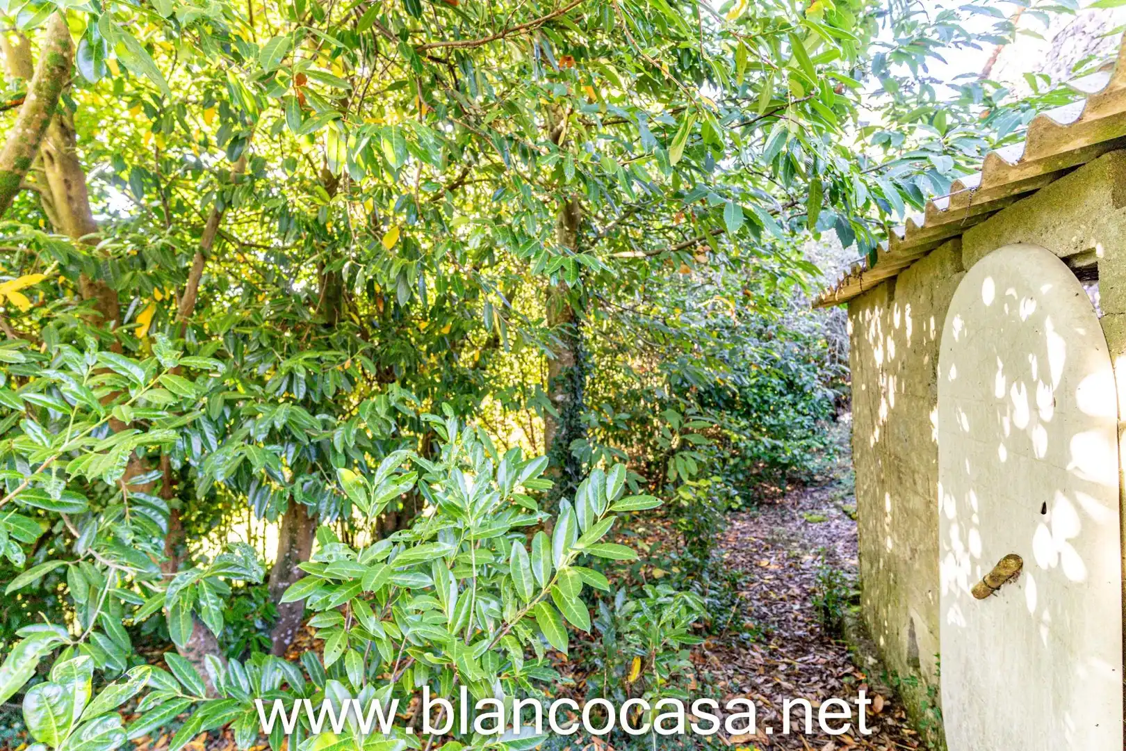 Casa con giardino in vendita a A Laracha, imagen 29