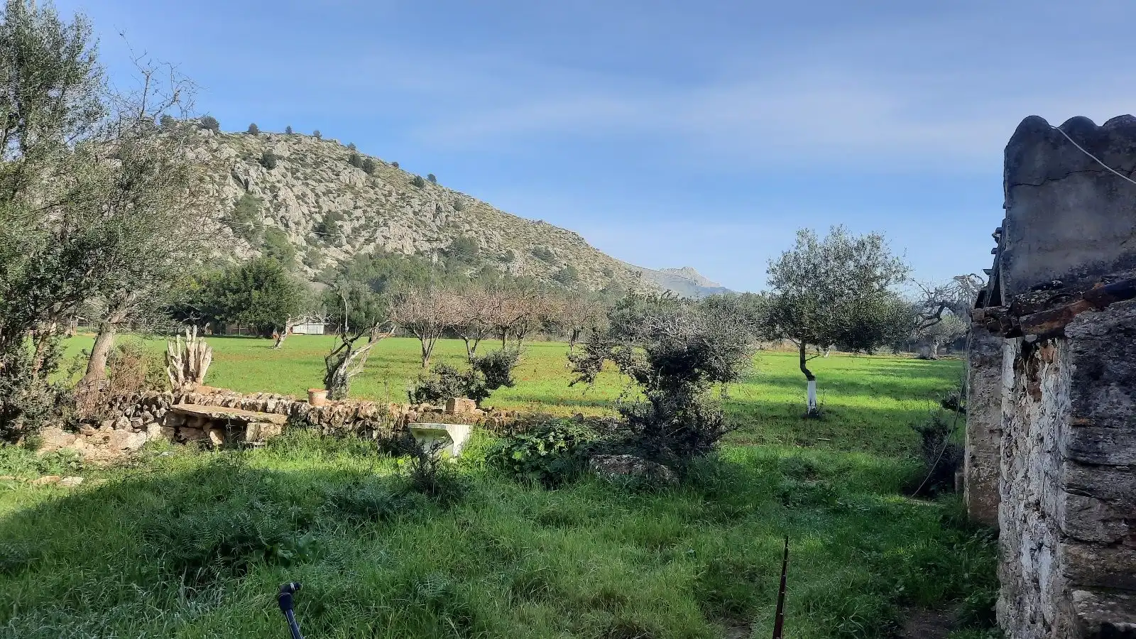 Landhaus zum Verkauf in Pollença Poble, imagen 33