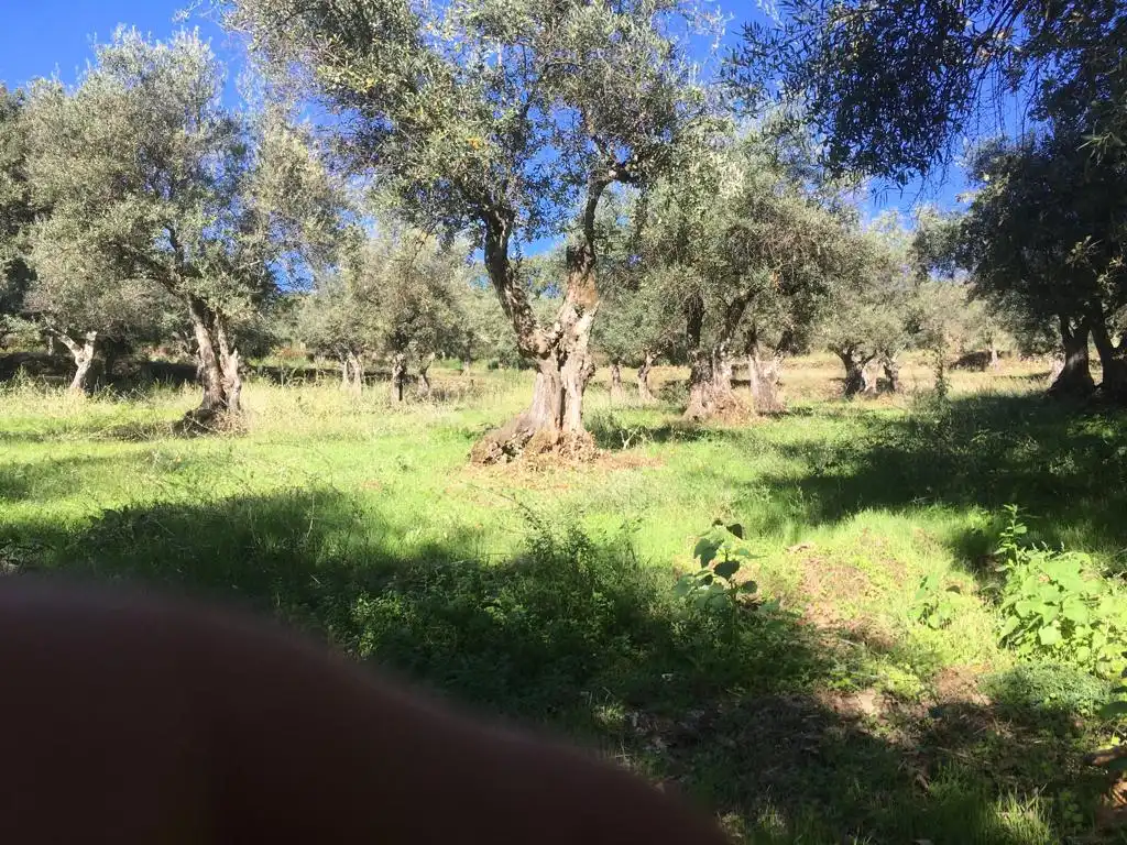 Traster en venda en Jarandilla de la Vera