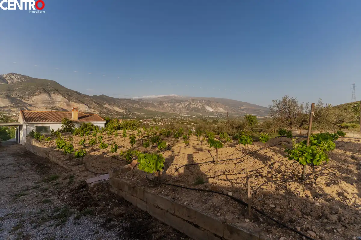 Casa con giardino in vendita a molinos, imagen 54