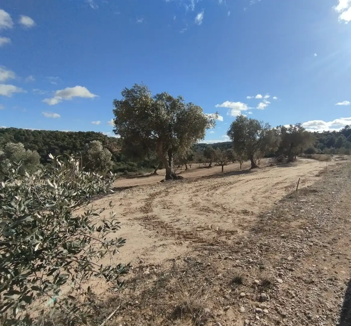 Grundstücke zum Verkauf in Alcañiz
