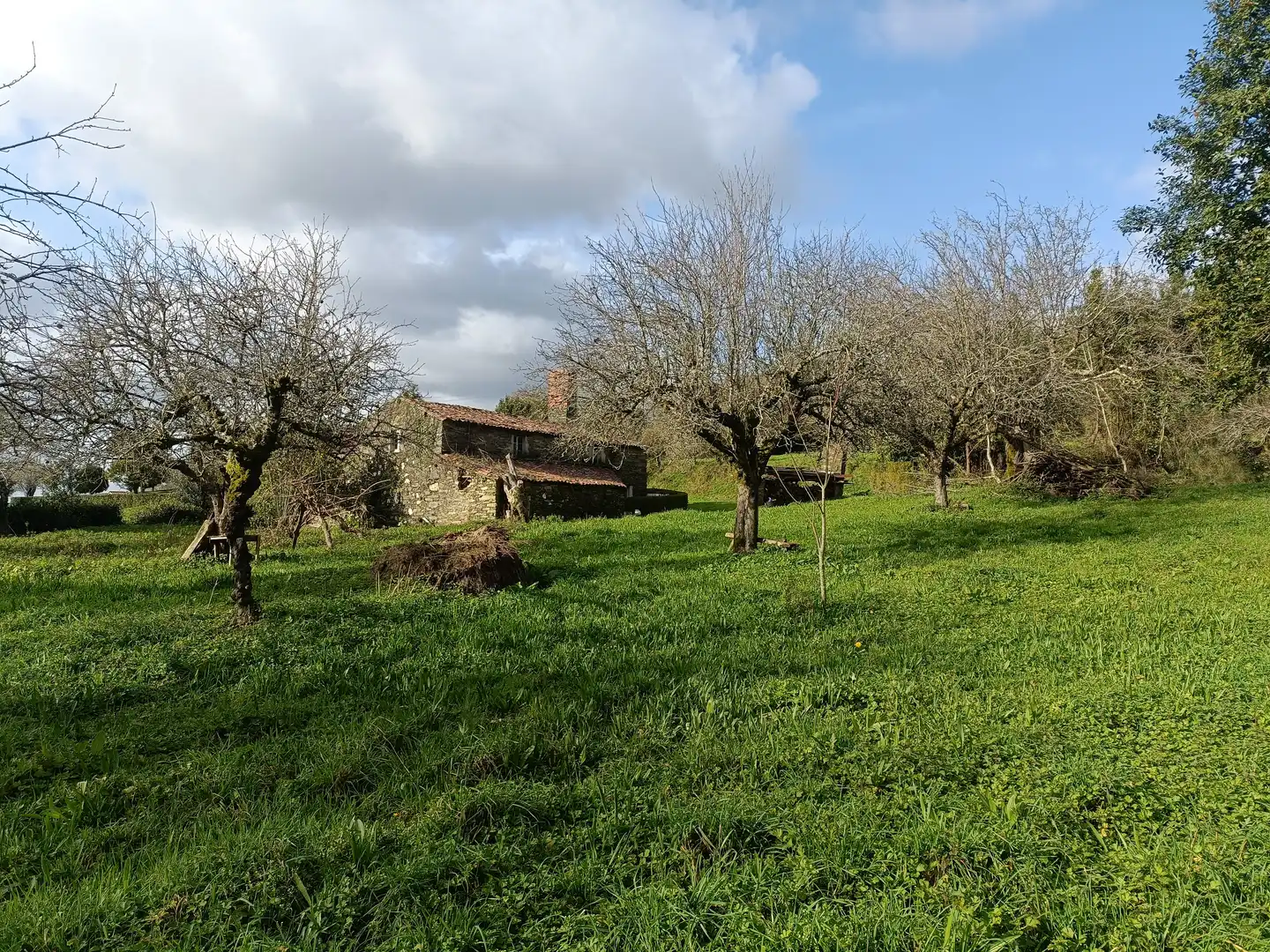 Casa o xalet en venda en Cesuras amb Jardí privat