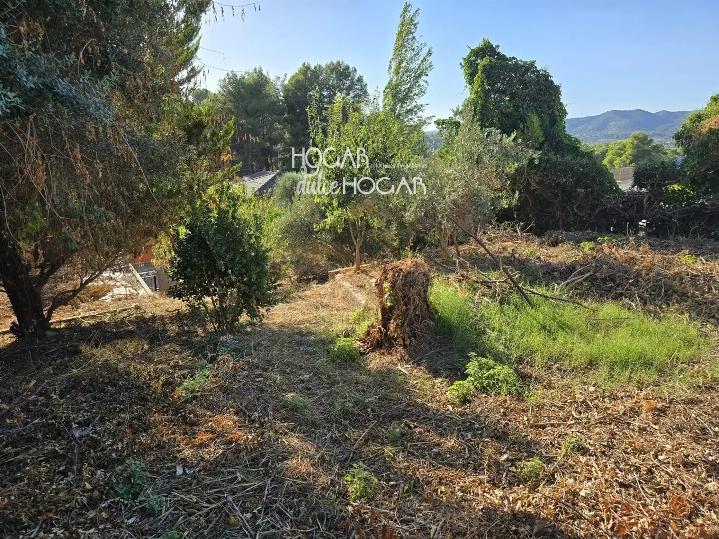 Terrain rustique à vendre à de la Morera, imagen 4