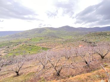 Terreny rústic en venda a Hervás