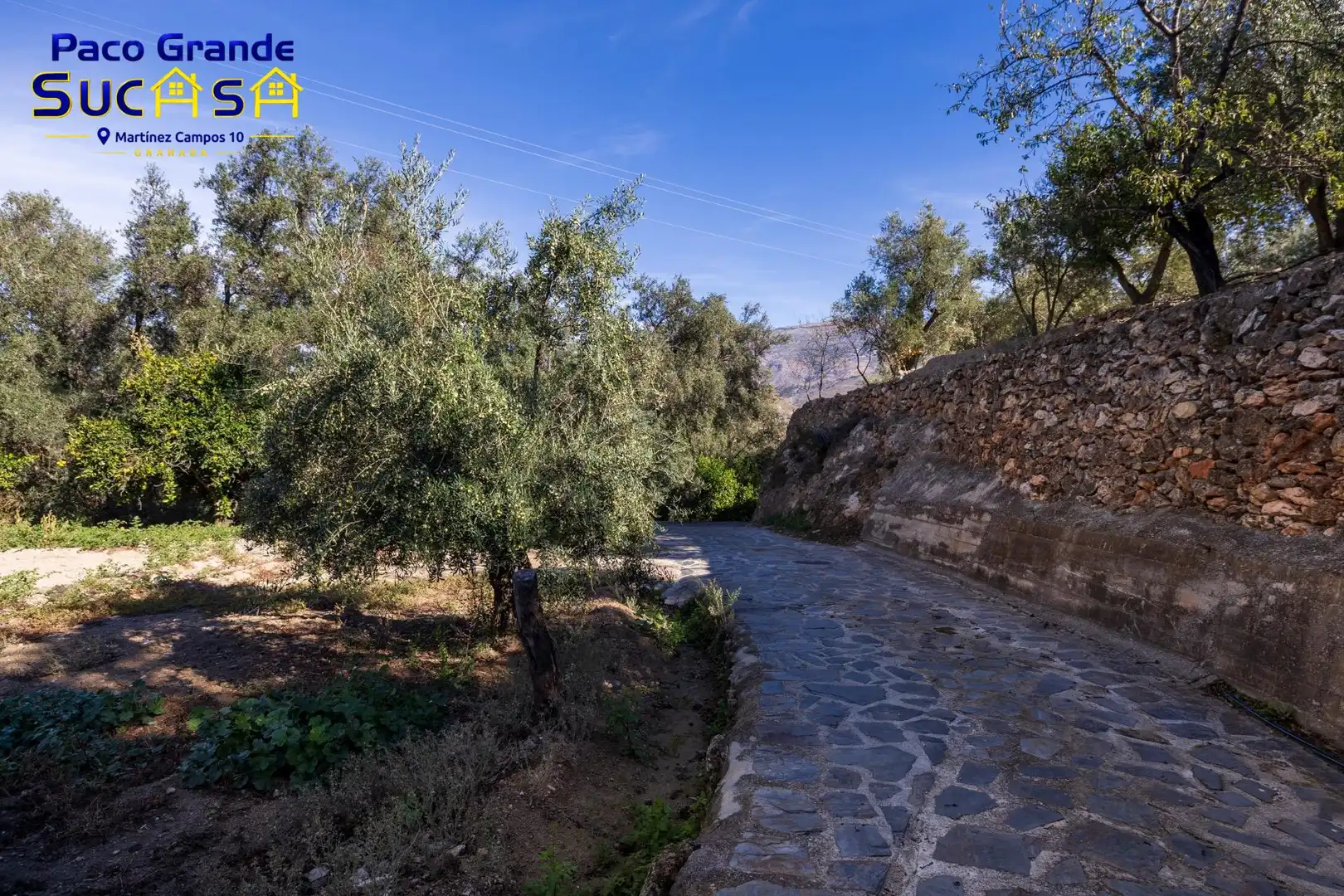 Terreno rustico in vendita a PINOS DEL VALLE, imagen 2
