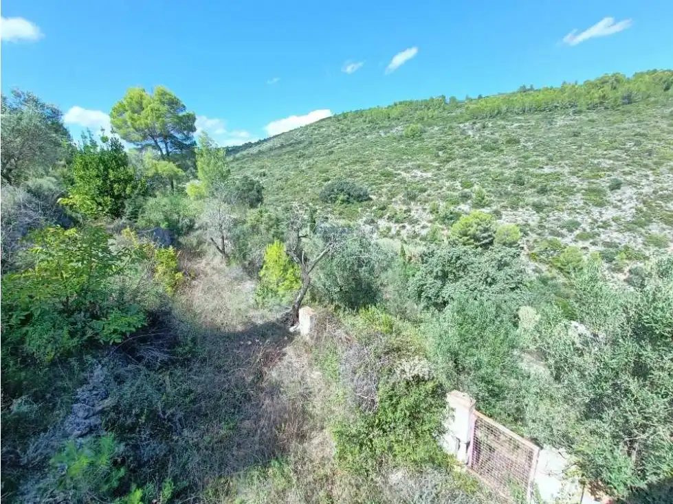 Country homes for sale in Alcalalí  with Terrace