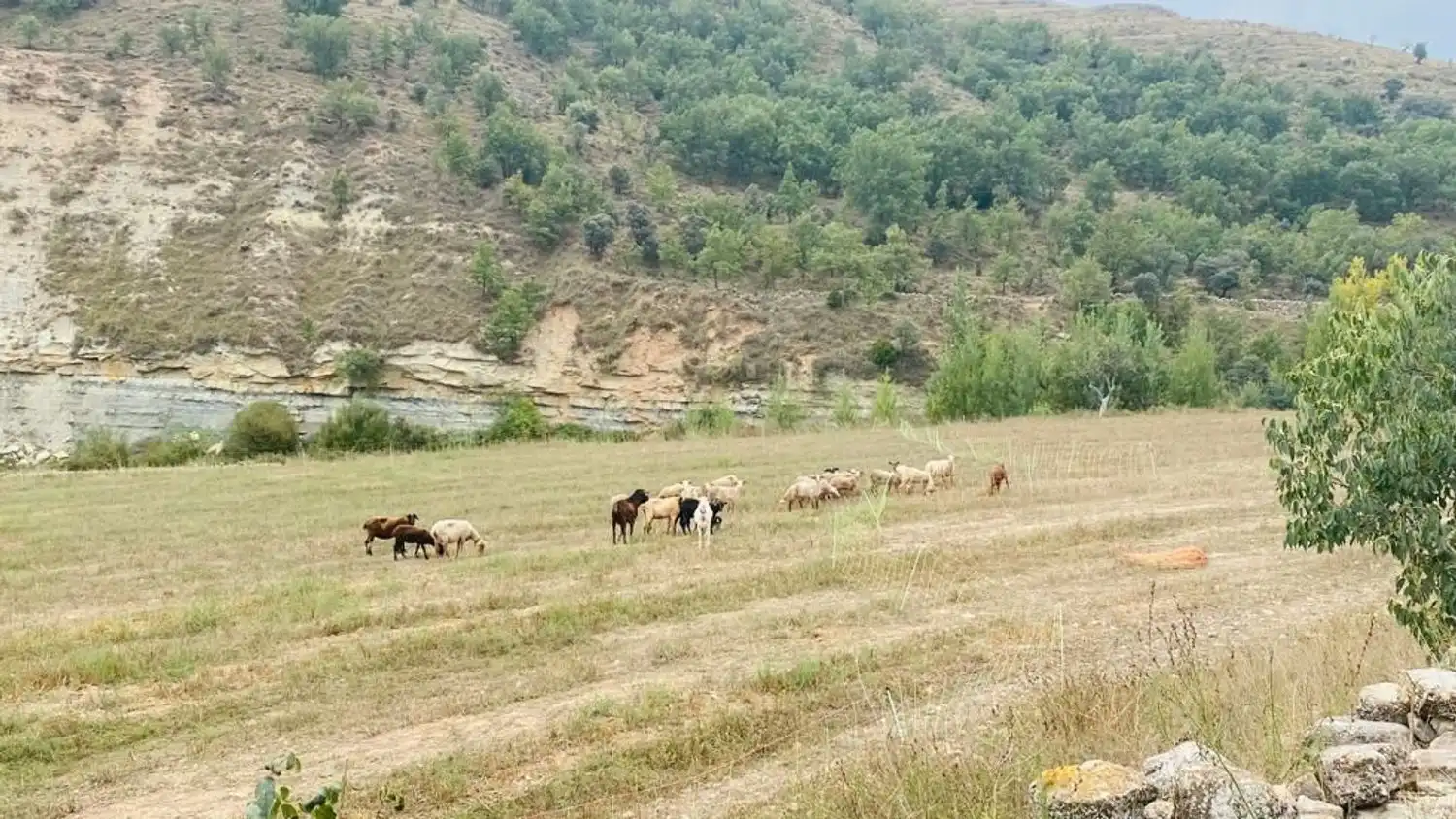 Finca rústica en venda en Olocau del Rey amb Terrassa i Traster