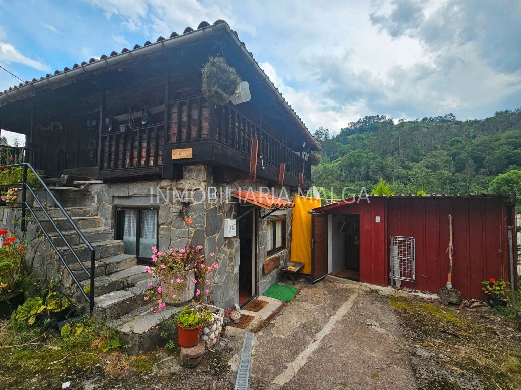 Vista exterior de Casa o chalet en venta en Colunga con Amueblado