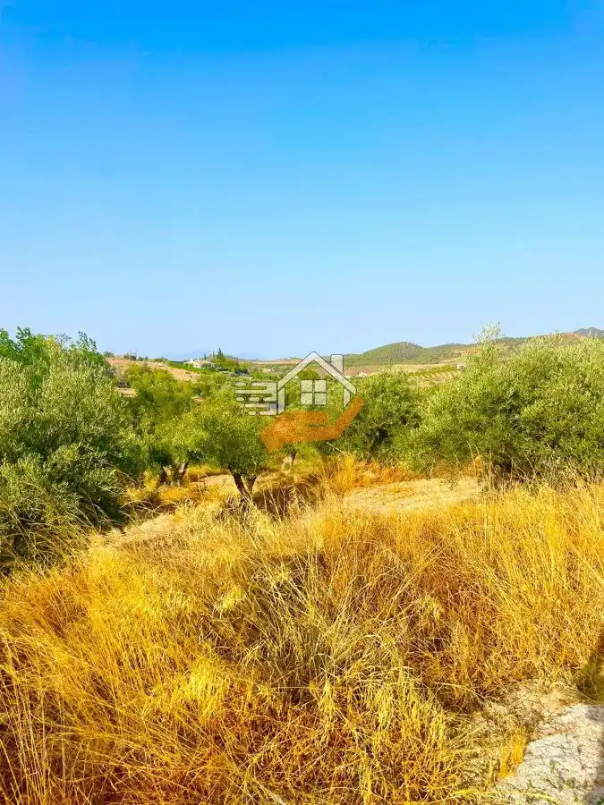 Residential land for sale in Vélez-Rubio, imagen 12