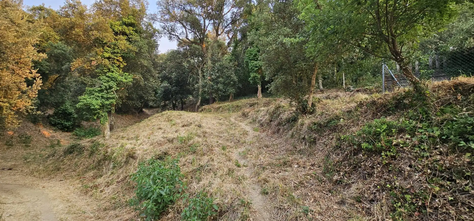 Terreno rústico en venta en Calle XAMPINYO