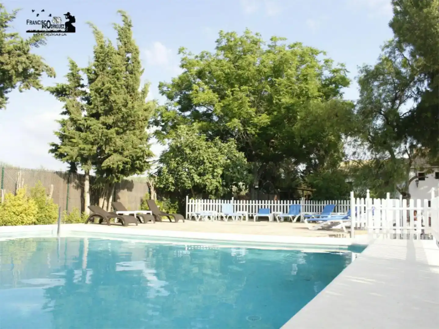 Piscina de Finca rústica en venda en Gilena amb Aire condicionat i Piscina