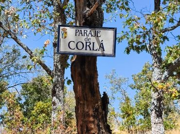 Terreno rustico in vendita a Camino de la Reguera