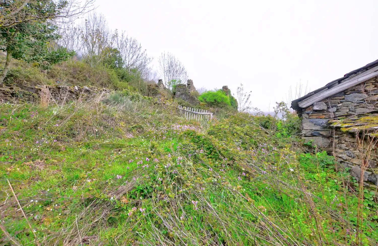 Houses for sale in Cangas del Narcea  with Heating, Storage room and Swimming Pool