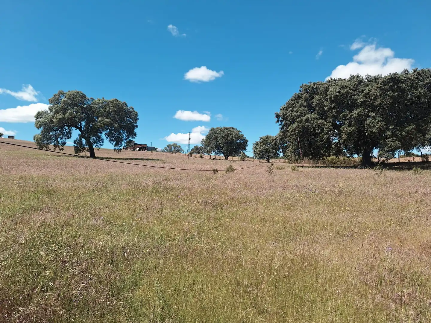 Terreno en venta en Calle Colon, 15, Tharsis