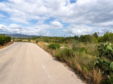 Terreny rústic en venda a Camí d'en Sedó 6