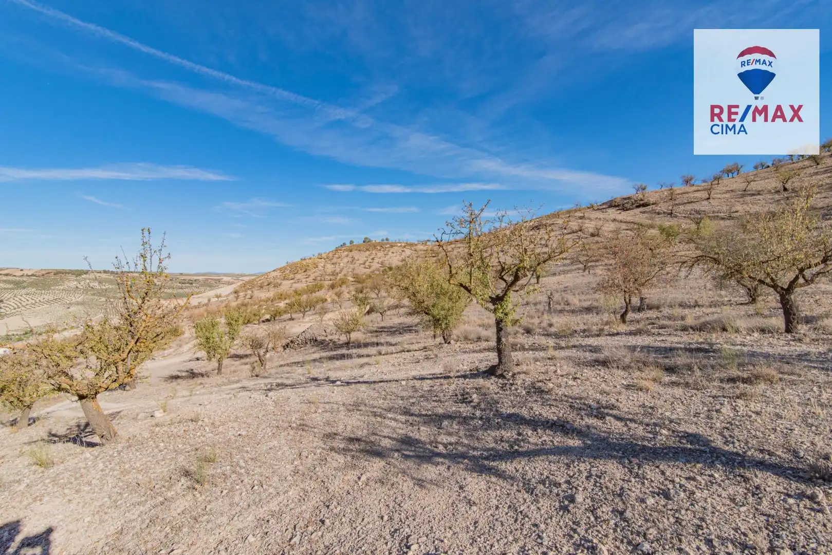 Terreno en venta en Santa Cruz del Comercio