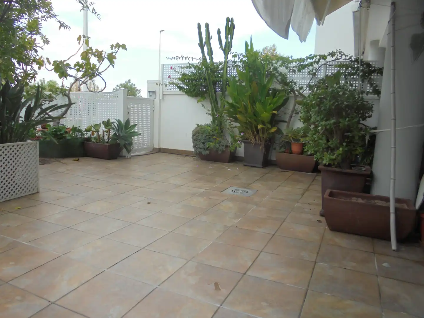 Appartement compact avec ascenseur à vendre à Avinguda de l'Ermita, imagen 36