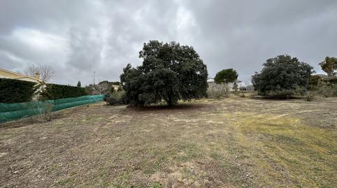 Photo 4 of Residential for sale in Valdepastores - Las Encinas, Madrid
