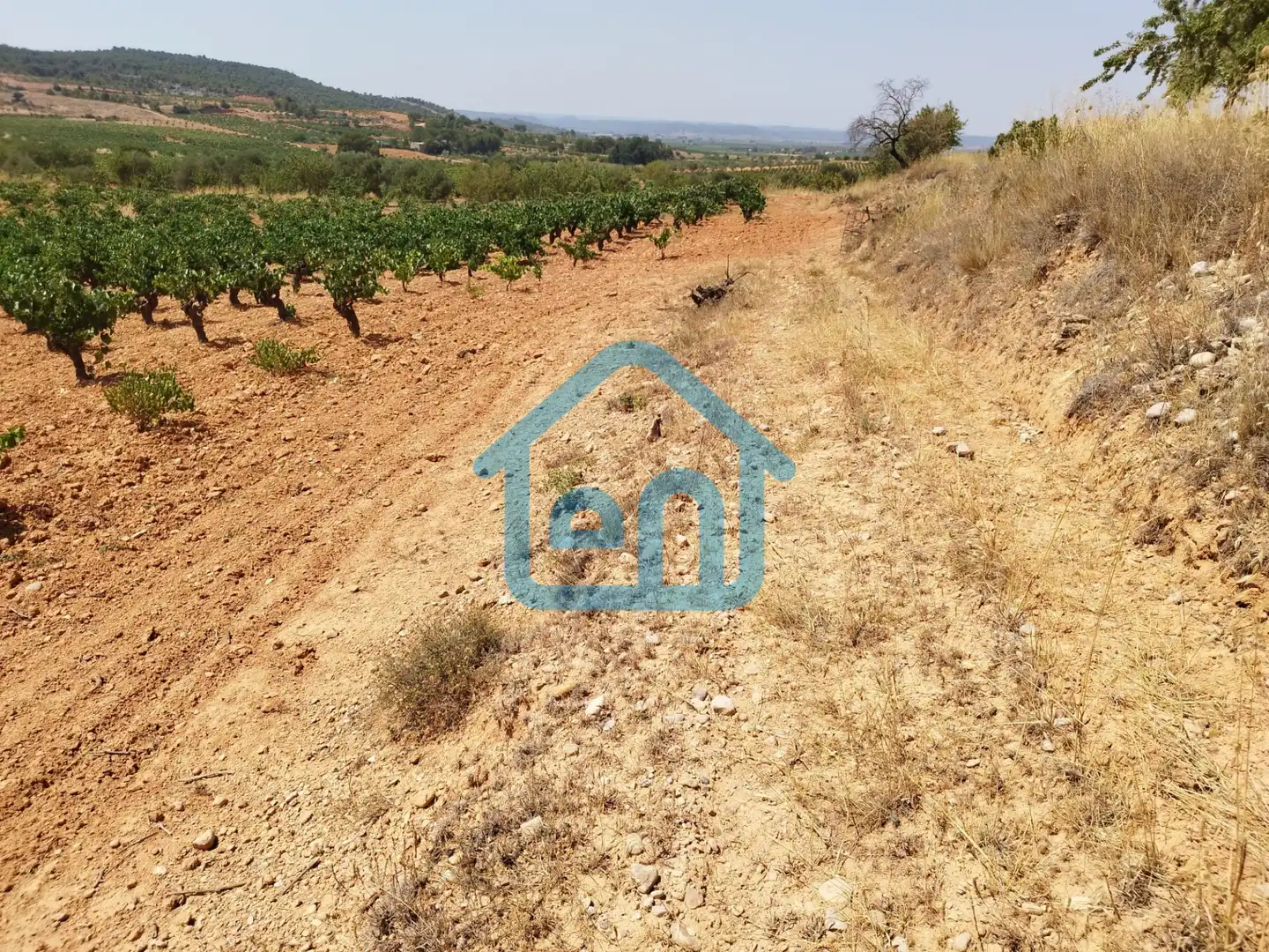Terreno rustico in vendita a Requena, imagen 7