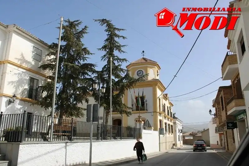 Terreni e lotti in vendita a Jayena, imagen 11
