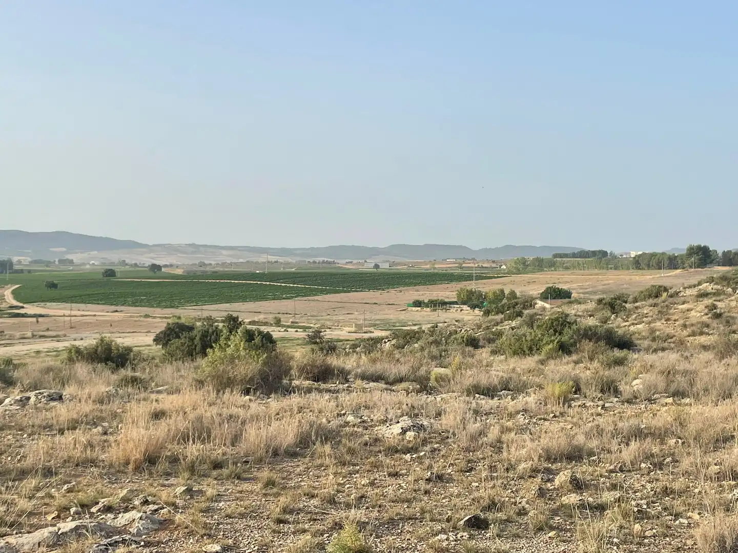 Residential land for sale in Carretera Caravaca 1, imagen 7