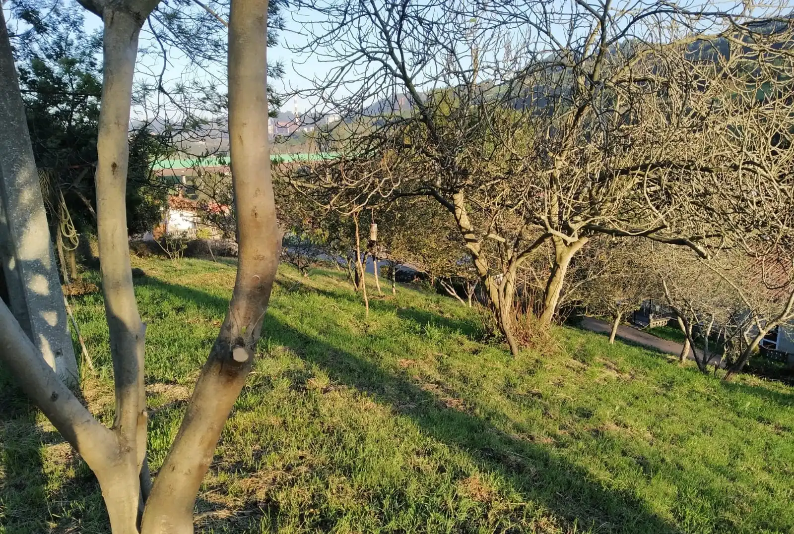 Casa en venda a Carreño, imagen 12