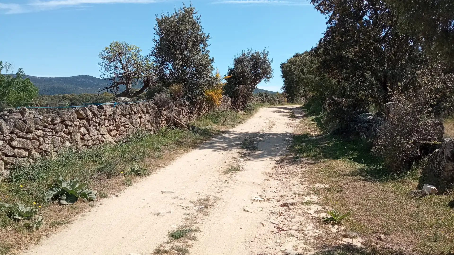 Terreni e lotti in vendita a Fresnedilla, imagen 10