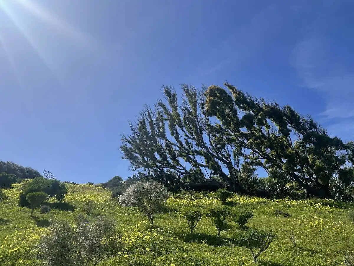 Rural land for sale in Caserones - La Higuera