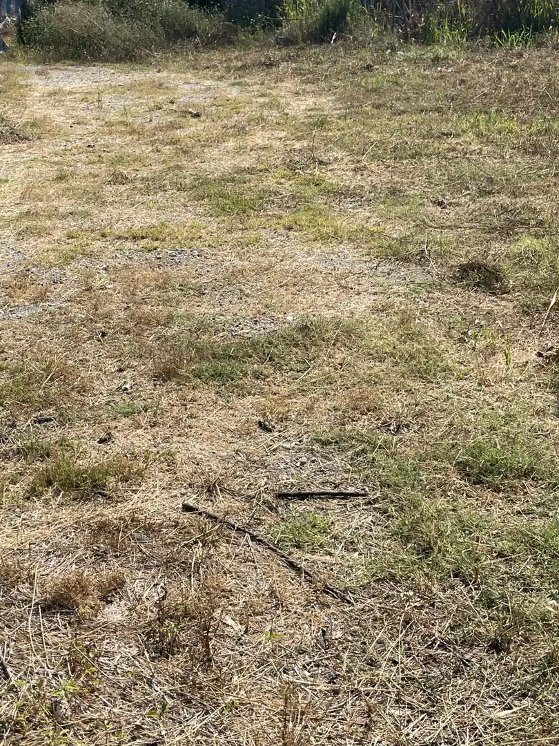Finca rústica en venta en Salobreña