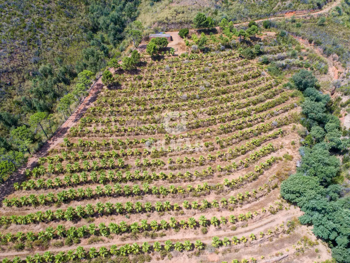 Terreno rustico in vendita a Altos de Estepona, imagen 31