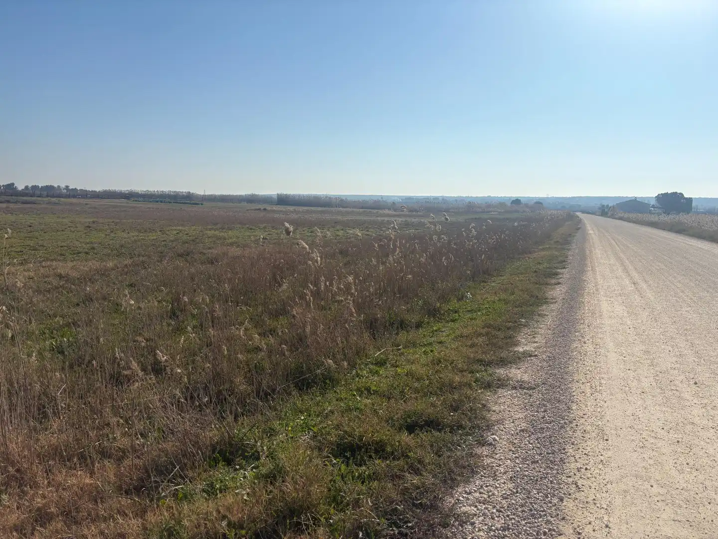 Terrain rustique à vendre à La Foia - Daimés - Asprella, imagen 18