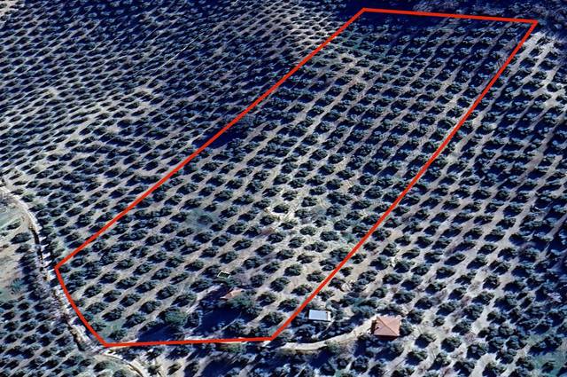 Terreno en Venta en Lugar Lugar del Cortijo Aguadero en Montefrío