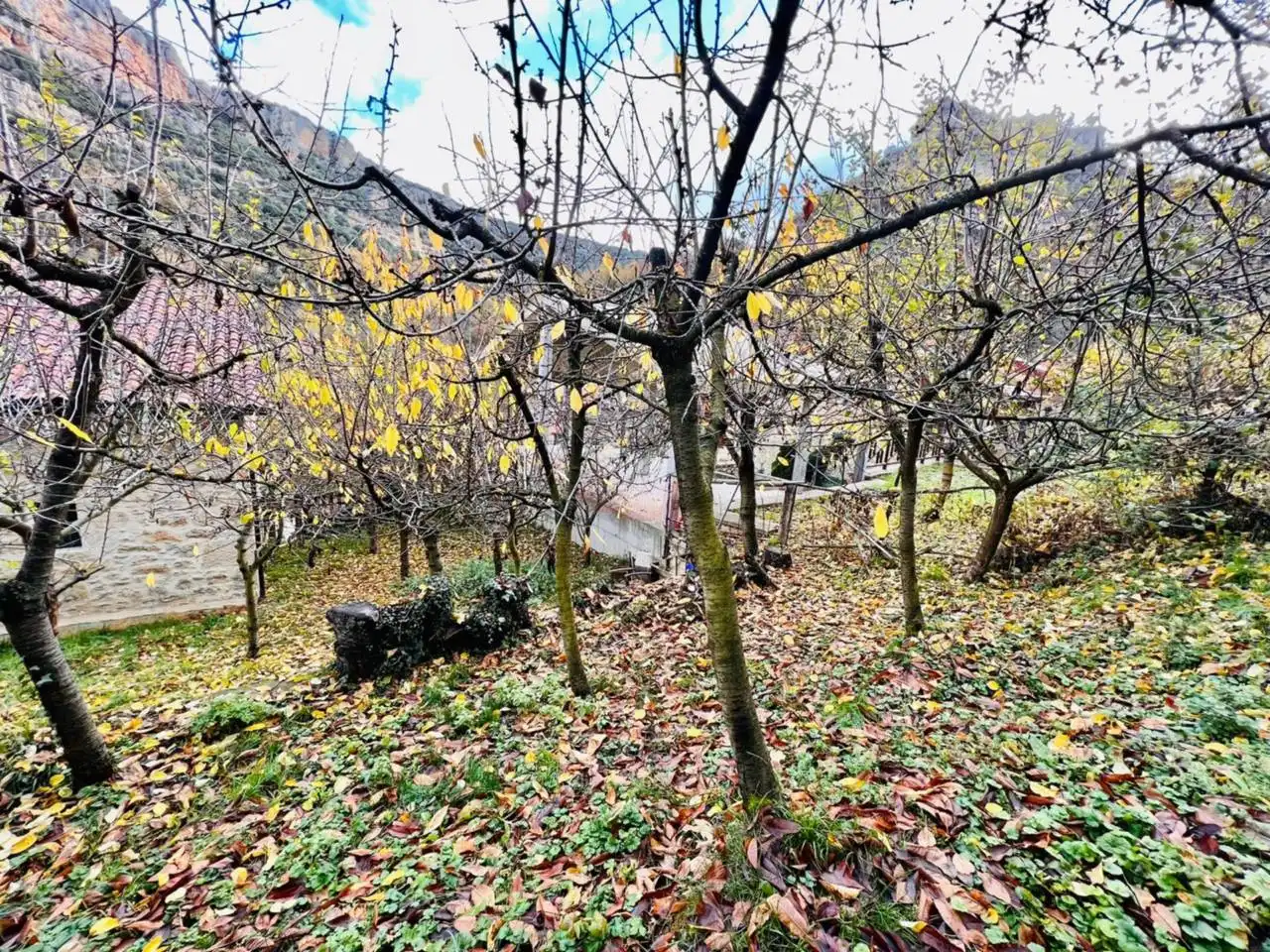 Casa o chalet en venta en Valle de Sedano con Jardín privado