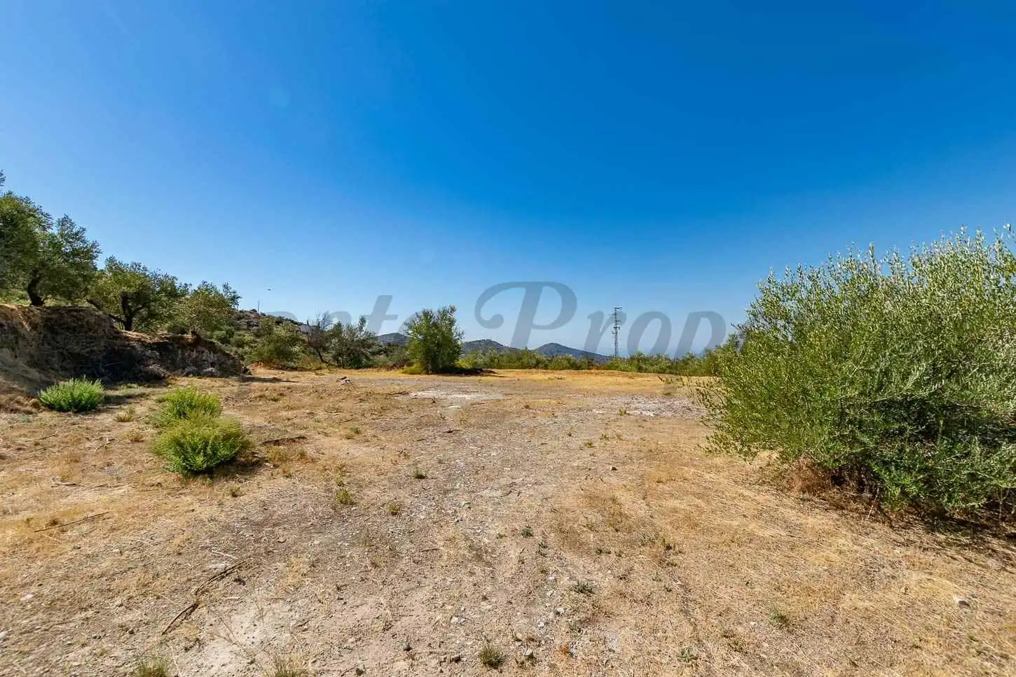 Terreny rústic en venda a Canillas de Albaida, imagen 4