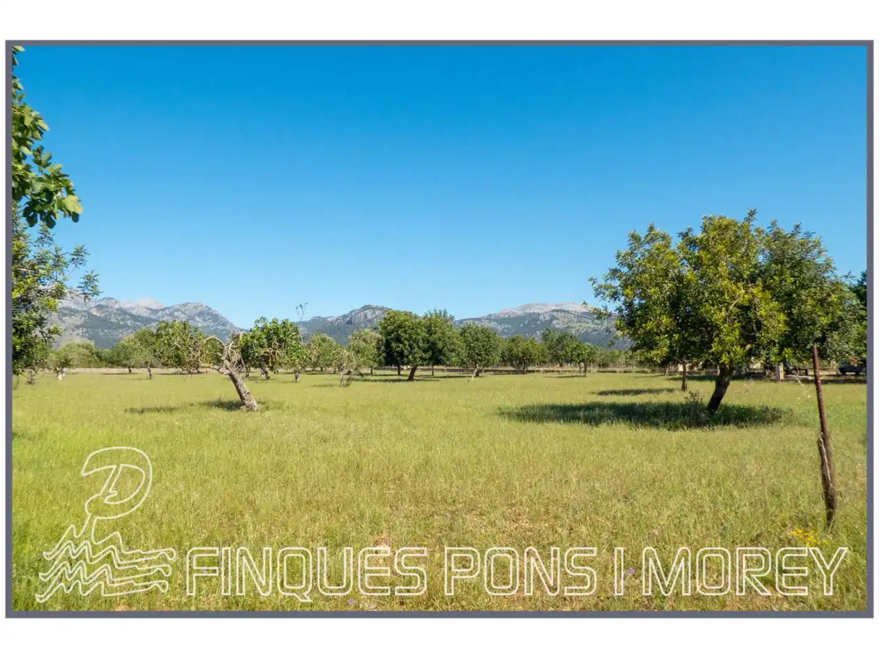 Finca rústica en venda en Campanet