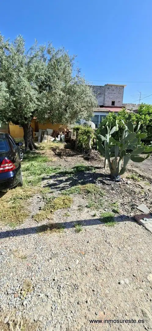 Finca rústica en venta en Orihuela