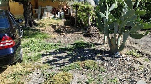 Foto 4 de Finca rústica en venta en Orihuela ciudad, Orihuela