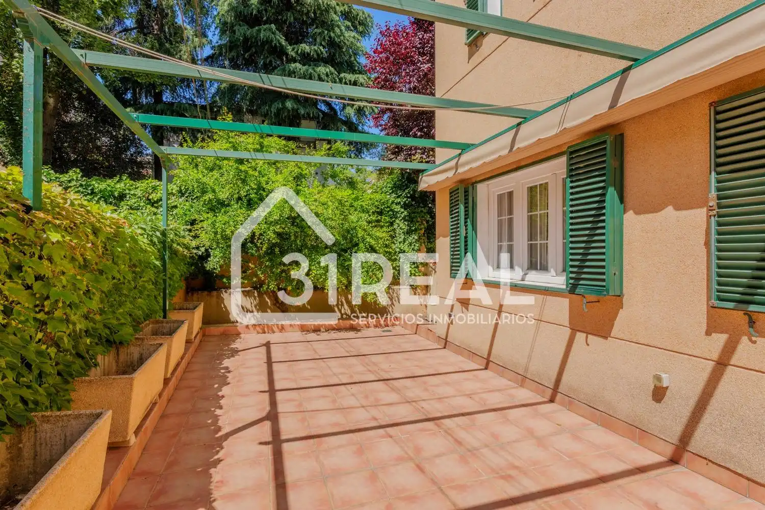 Jardí de Casa o xalet en venda en Madrid