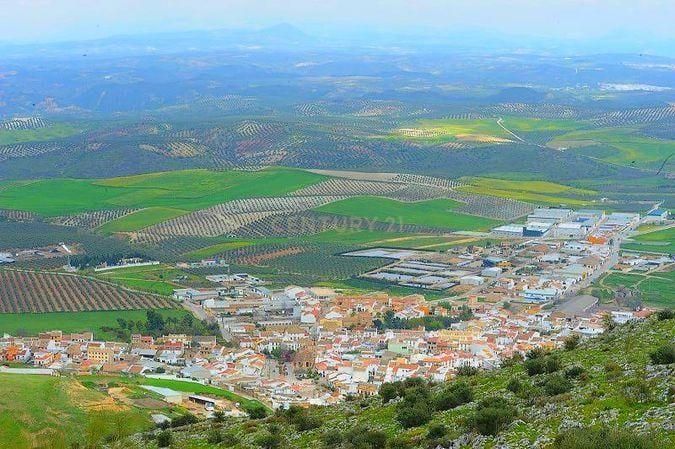 Casa adosada en venta en Alameda