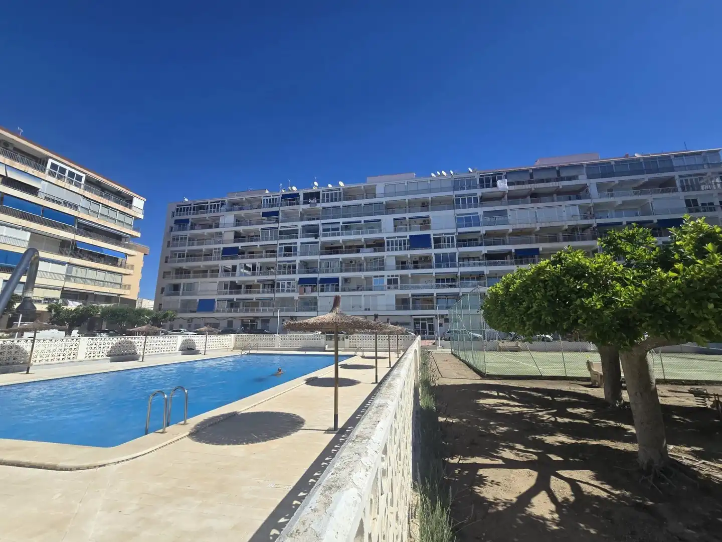 Vista exterior de Apartamento en venta en Torrevieja con Jardín privado, Terraza y Amueblado