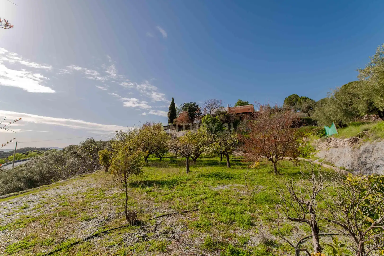 Maison à vendre à 18670 Vélez de Benaudalla, Spain, imagen 64
