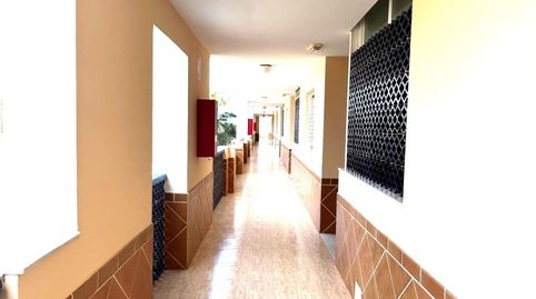 Amplio Apartamento  Con Excelentes Vistas