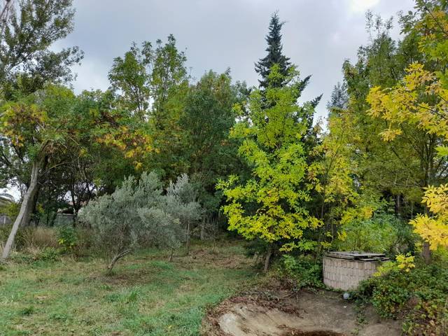 Terreno en Venta en Marcilla