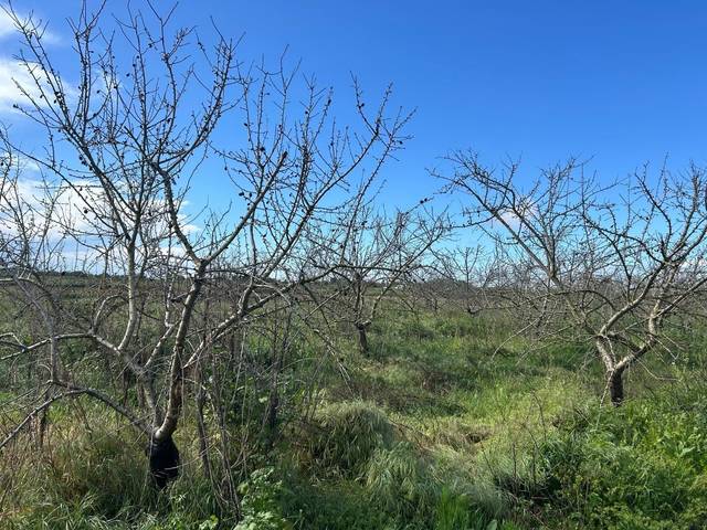 Terreno en Venta en  La romana  en Pedanías Norte